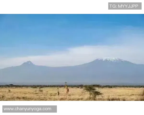 咯山与格罗兹尼的较量揭示了足球战术与团队协作的重要性