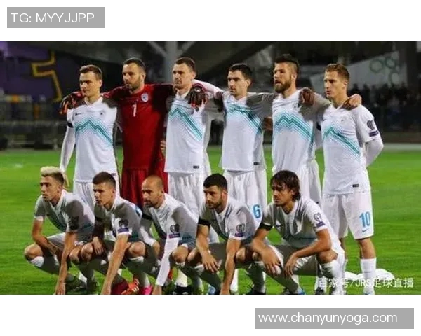 波兰与斯洛文尼亚足球赛比分分析及精彩瞬间回顾