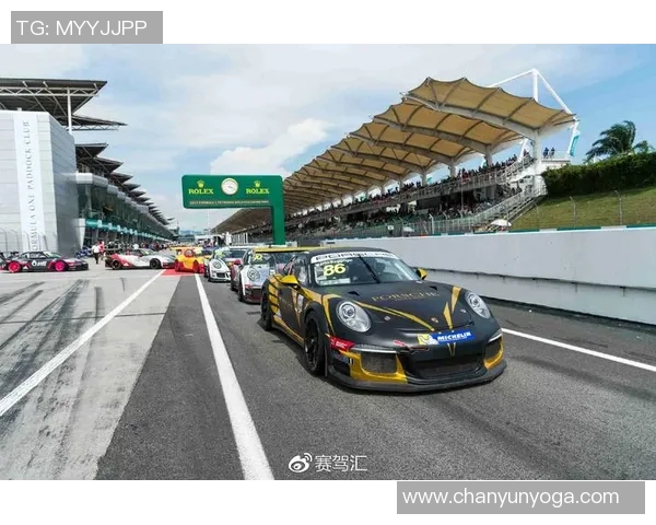 罗马尼亚与丹麦激战正酣双方争夺胜利的精彩瞬间回顾 罗马尼亚与丹麦激战正酣双方争夺胜利的精彩瞬间回顾