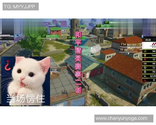 和平精英战术分析：TES包夹战术的深度解读与应用探讨MBA