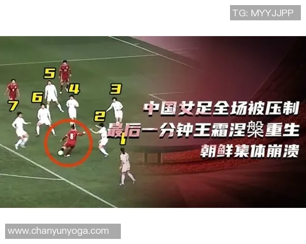 杭州排球队整体压制革新之路：从战术到团队协作的全面提升与探索MBA