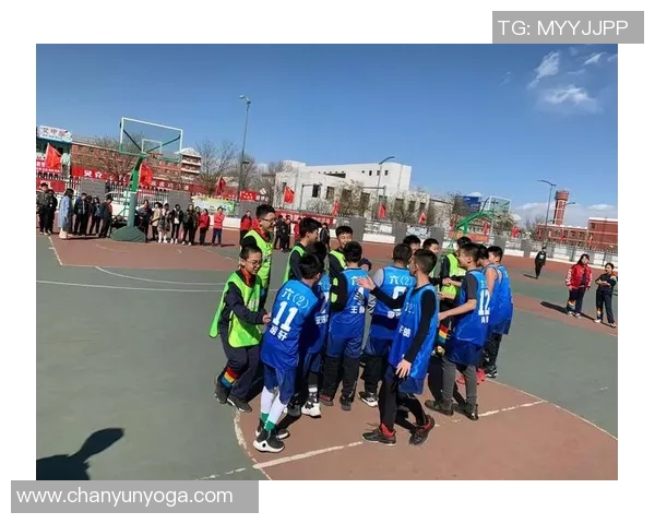 谢什科的传奇人生与篮球梦想的追逐之路