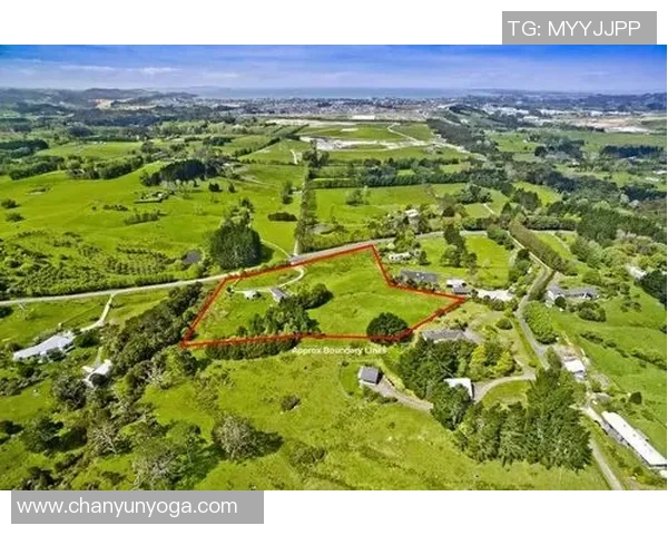 加克波在国际赛场上的崛起与未来发展潜力分析 加克波在国际赛场上的崛起与未来发展潜力分析