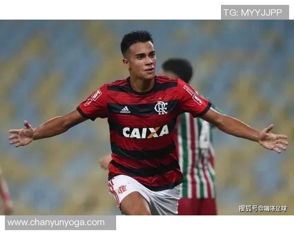 弗拉门戈与希拉尔激战正酣谁能在这场对决中笑到最后