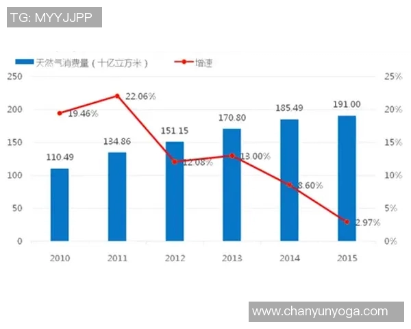 数据分析视角下液化天然气市场动态与表现研究