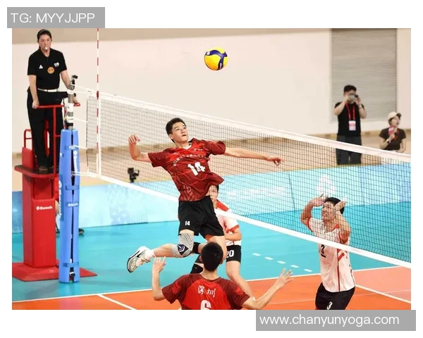 杭州排球队战术创新引领潮流助力排球竞技新高峰